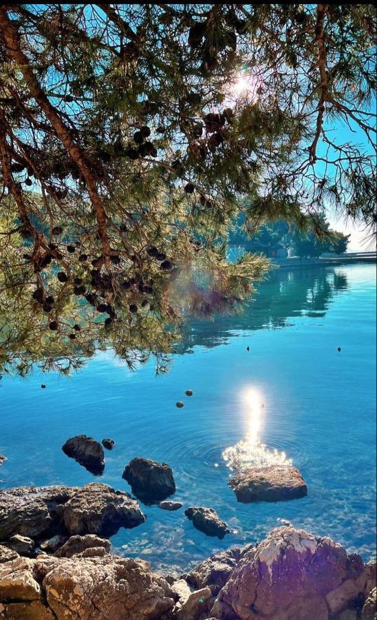 Apartman Kulas Biograd Na Moru Εξωτερικό φωτογραφία